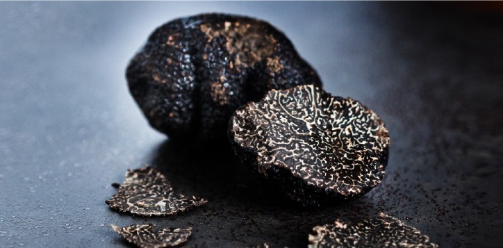 black-truffle-stew-2