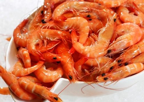 seafood-buffet-in-bangkok-505x505-10-2