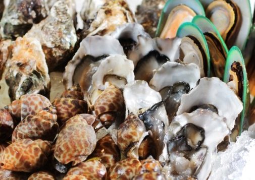 seafood-buffet-in-bangkok-505x505-11-2