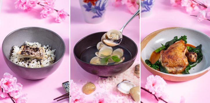 japanese-dinner-set1-2-2